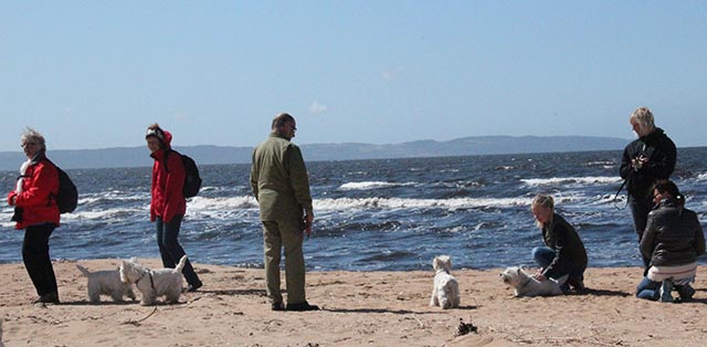 majpromenaden 2013