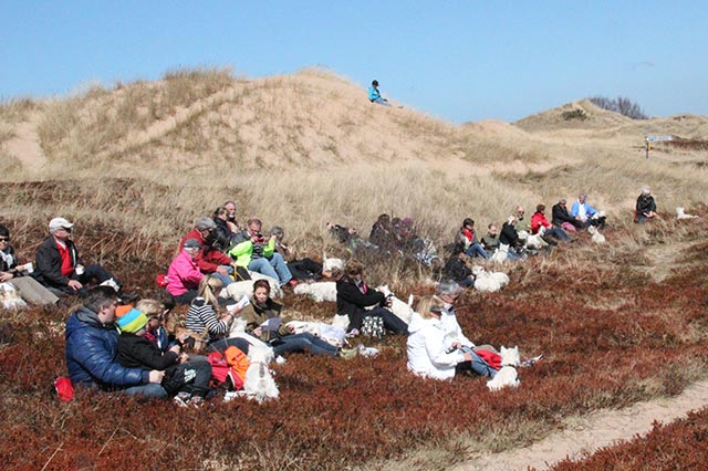 majpromenaden 2013