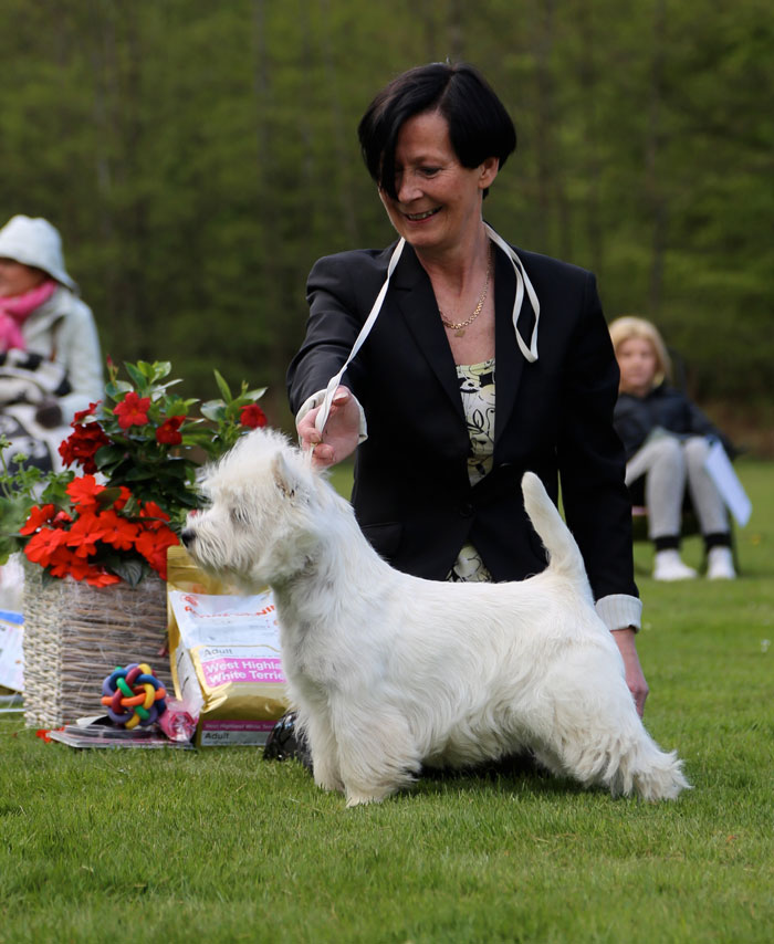 BIM och BIS Junior Rieskant's Glam Rocker